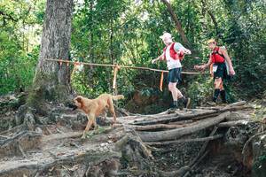 BIB: 
                            <button type="button" onclick="openModal(27742900)" class="btn btn-primary btn-sm float-right btn-popup" data-toggle="modal" data-target=".modal-high-quality">
                        <i class="fas fa-shopping-cart"></i> Add to Cart
                    </button>
                                            <button type="button" onclick="isThisMe(27742900, true)" class="btn btn-success btn-sm float-right btn-popup btn-isme hidden" data-toggle="tooltip" data-placement="bottom" title="นี่คือรูปของคุณใช่ไหม คลิกที่นี่เพื่อเอาเข้าอัลบั้ม">
                        <i class="fas fa-plus"></i> Add to album
                    </button>
                    <button type="button" onclick="isThisMe(27742900, false)" class="btn btn-warning btn-sm float-right btn-popup btn-isnotme hidden">
                        <i class="fas fa-ban"></i> Remove from album
                    </button>